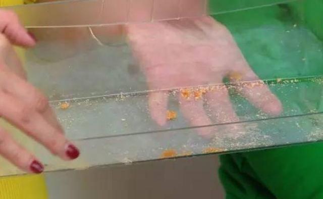 冰箱清洗方法詳細步驟（家用小妙招秒學(xué)怎么清洗冰箱）(2)