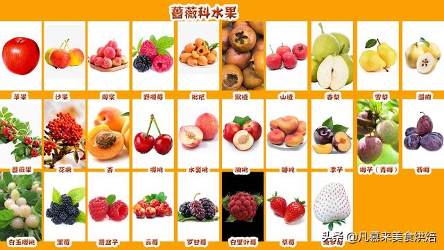 水果種類大全名字圖片（水果分類一覽表大全）(2)
