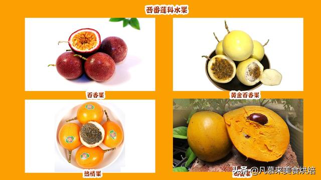 水果種類大全名字圖片（水果分類一覽表大全）(24)