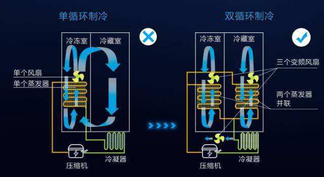 冰箱什么樣的好（如何選擇經(jīng)濟(jì)實用的家用冰箱）(11)