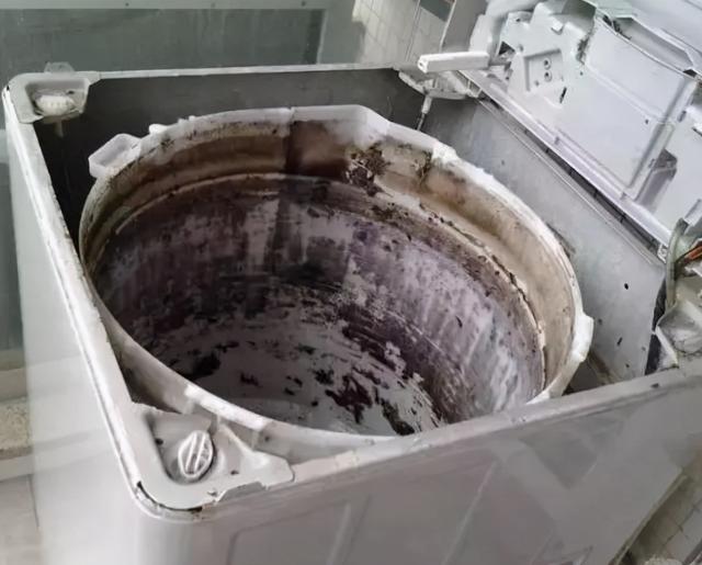 去除滾筒洗衣機異味最佳方法（洗衣機里的霉菌怎樣清洗干凈）(3)