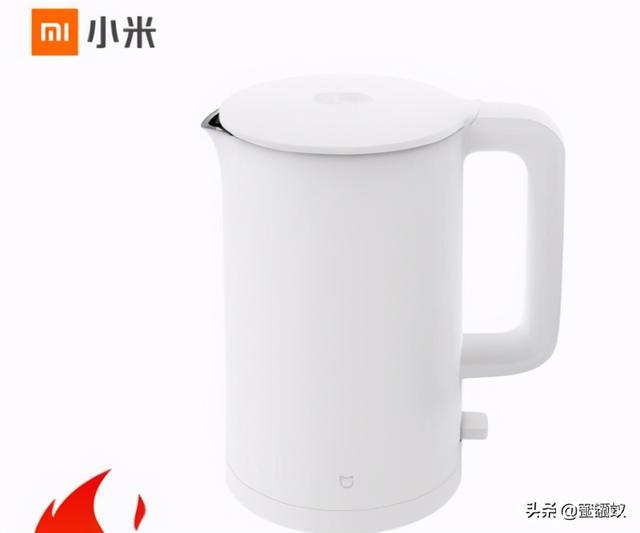 電水壺十大品牌排名（哪個(gè)牌子熱水壺最好）(6)