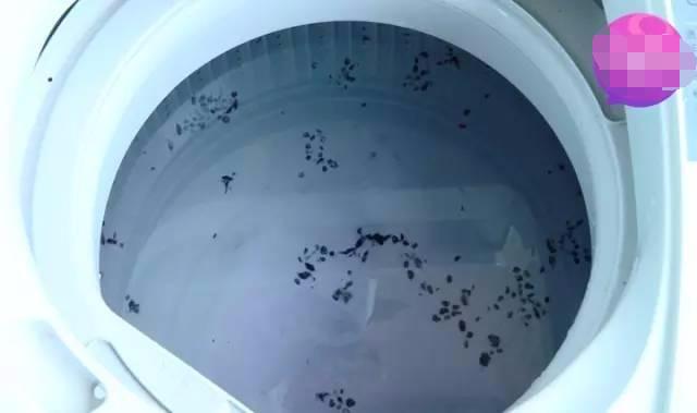 清理洗衣機用什么辦法清理的最干凈（洗衣機臟了怎么洗掉小妙招）(8)