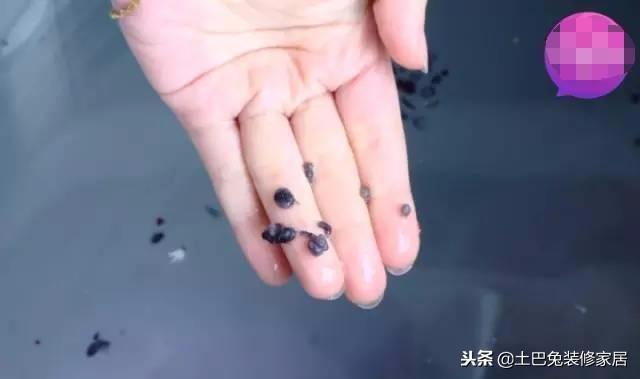 清理洗衣機用什么辦法清理的最干凈（洗衣機臟了怎么洗掉小妙招）(9)