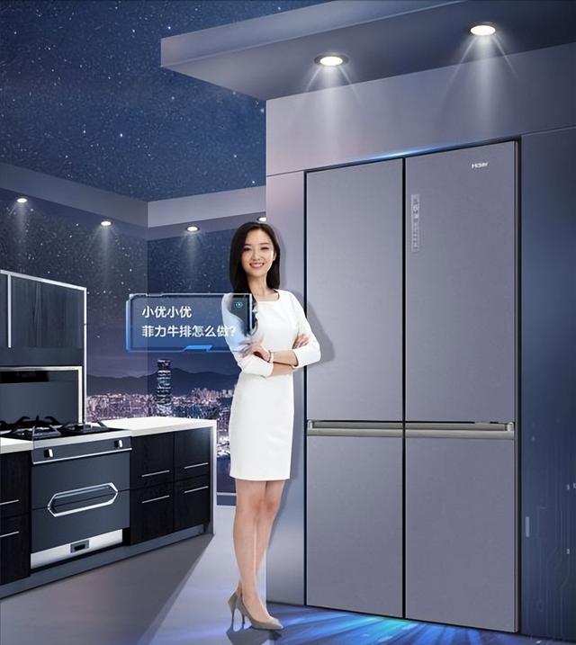 什么品牌的冰箱質(zhì)量最好（2022年冰箱排名前十名出爐）(3)