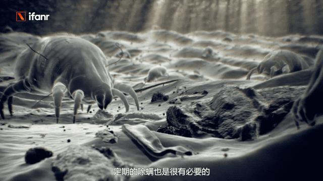 買什么牌子的吸塵器好（五大爆款吸塵器評(píng)測）(6)
