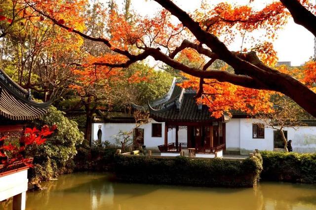 上海好玩的地方排行榜（上海有哪幾個(gè)好玩的地方推薦）(19)