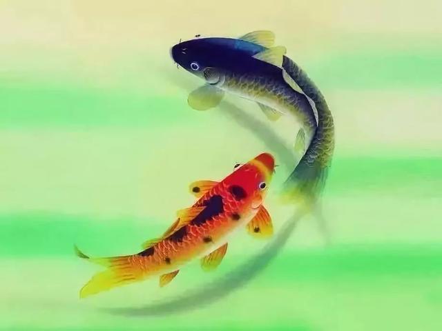 蝴蝶效應簡單來說是什么（墨菲定律青蛙效應鱷魚法則）(3)