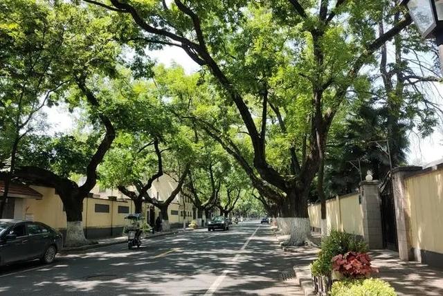 南京附近有什么好玩的景點（南京十大冷門景點人少景美）(26)