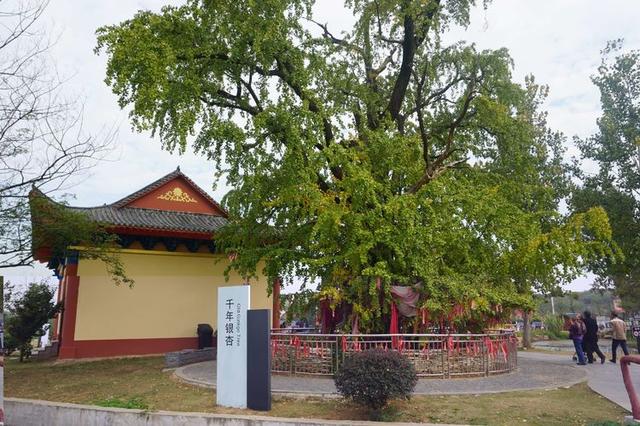 南京附近有什么好玩的景點（南京十大冷門景點人少景美）(48)