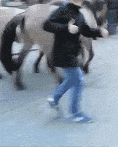 搞笑圖片大全笑死人經(jīng)典（35張笑死人不償命的圖片）(7)