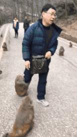 搞笑圖片大全笑死人經(jīng)典（35張笑死人不償命的圖片）(14)