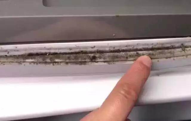 冰箱門密封條發(fā)霉怎么清洗（冰箱封條發(fā)霉了難清理一個小竅門）(3)