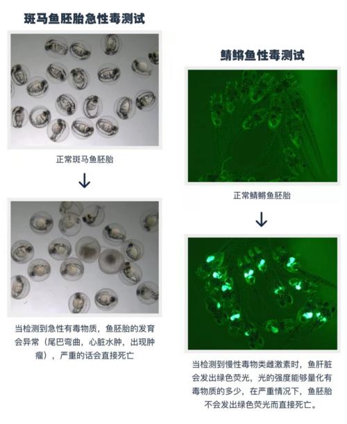 什么品牌的口紅最好（這8款口紅安全又好用）(6)