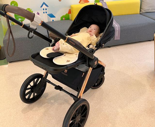嬰兒推車買哪種最實用（新生兒用什么嬰兒車好）(5)