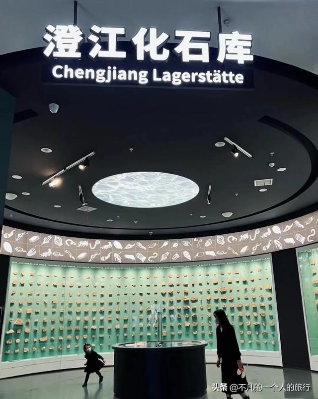 中國有哪些名勝古跡（中國56項世界遺產你都去過哪些）(101)