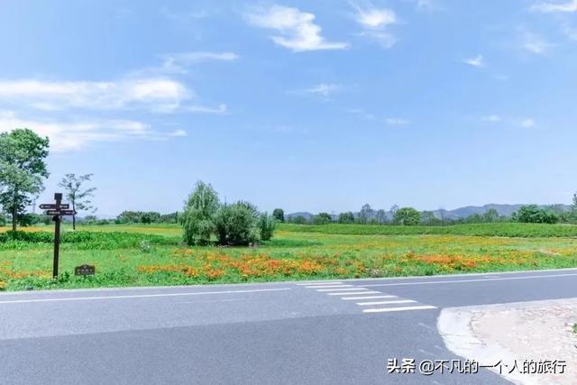 中國有哪些名勝古跡（中國56項世界遺產你都去過哪些）(124)