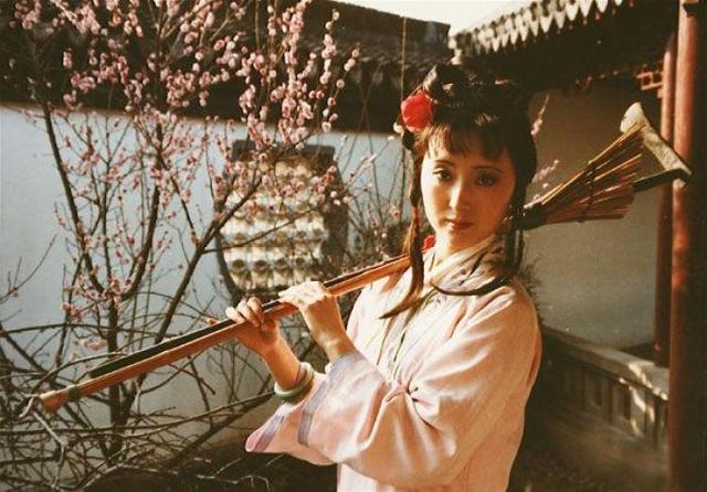 紅樓夢(mèng)四大家族哪個(gè)實(shí)力最強(qiáng)（紅樓夢(mèng)四大家族最后結(jié)局）(6)