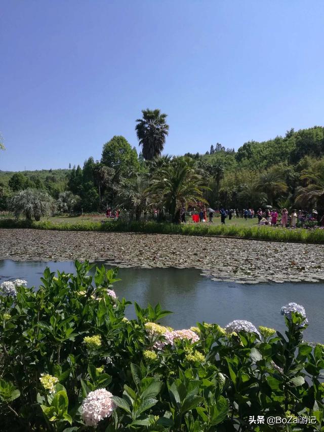 昆明有什么好玩的地方（到云南昆明旅游必去的21個景點）(65)