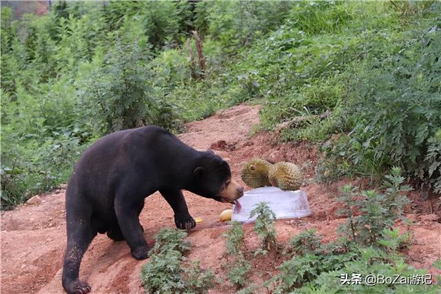 昆明有什么好玩的地方（到云南昆明旅游必去的21個景點）(68)
