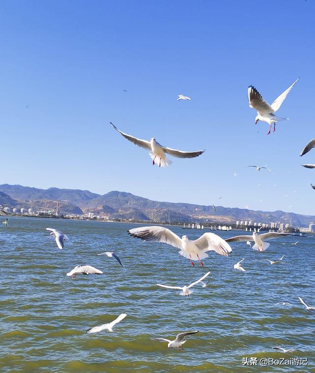 昆明有什么好玩的地方（到云南昆明旅游必去的21個景點）(83)