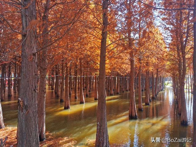 昆明有什么好玩的地方（到云南昆明旅游必去的21個景點）(92)