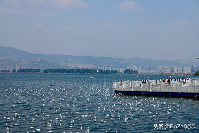 昆明有什么好玩的地方（到云南昆明旅游必去的21個景點）(94)