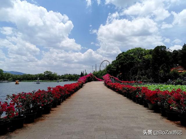 昆明有什么好玩的地方（到云南昆明旅游必去的21個景點）(101)