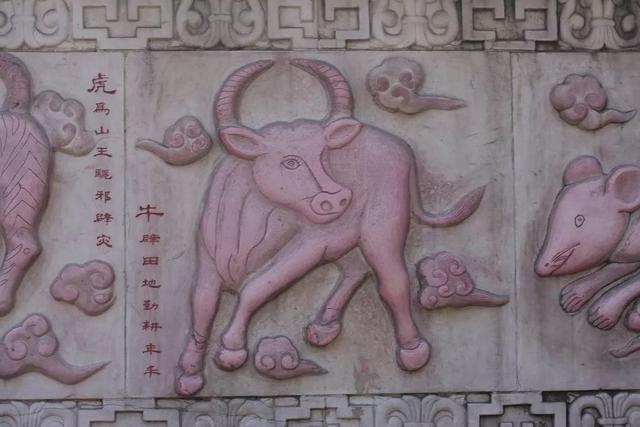 十二生肖排列順序表（十二生肖的順序是怎么確定的）(1)