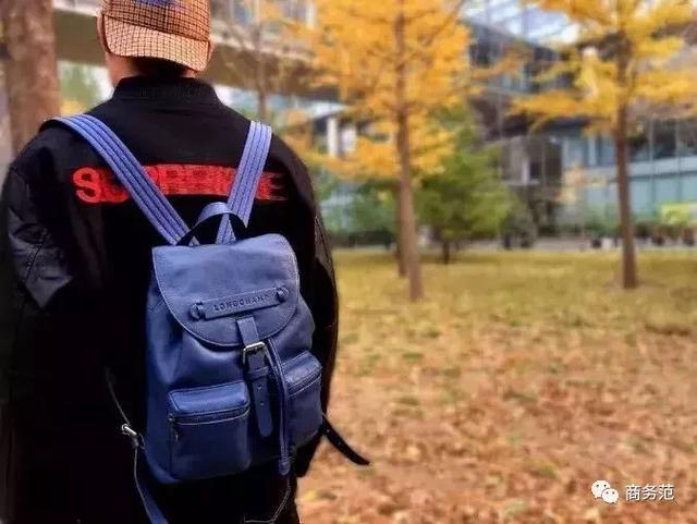 背包品牌男雙肩背包推薦（職場男人雙肩包怎么選）(32)