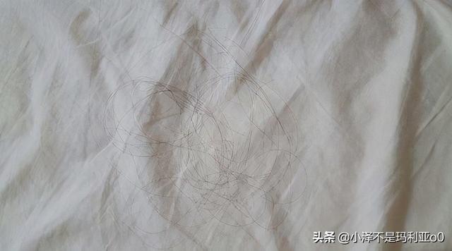 家用吹風(fēng)機(jī)怎么選比較好（如何選購一款合格的吹風(fēng)機(jī)）(7)
