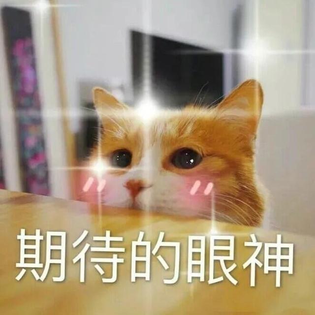 遮瑕膏哪個牌子好（分享5款人氣口碑俱佳的遮瑕液）(2)