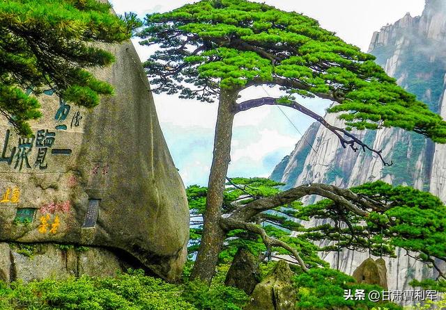 國內(nèi)旅游景點推薦（一生必去的中國最美的10個景點）(11)