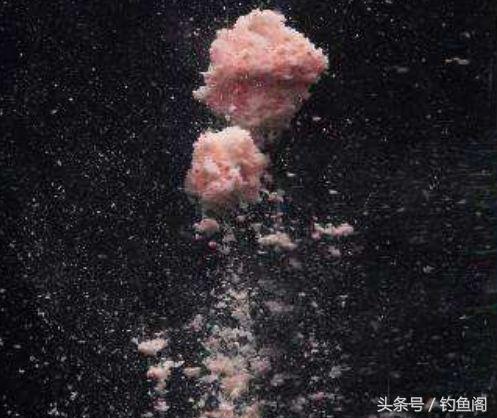 釣魚有什么秘訣（10個垂釣的小技巧）(2)