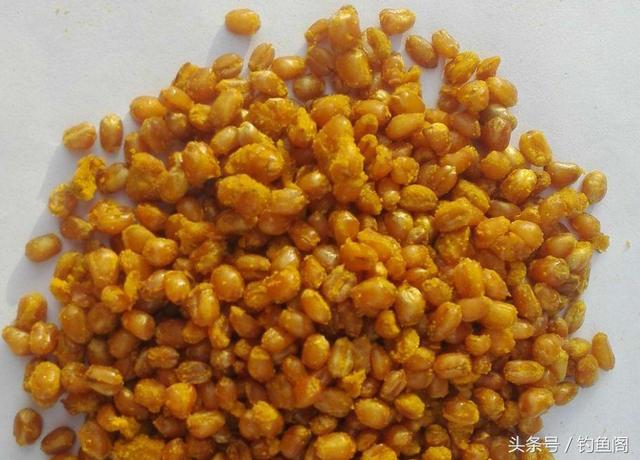 釣魚有什么秘訣（10個垂釣的小技巧）(4)