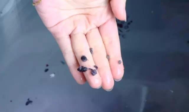 小蘇打清洗洗衣機(jī)的方法妙招（用白醋跟小蘇打清洗洗衣機(jī)的步驟）(12)