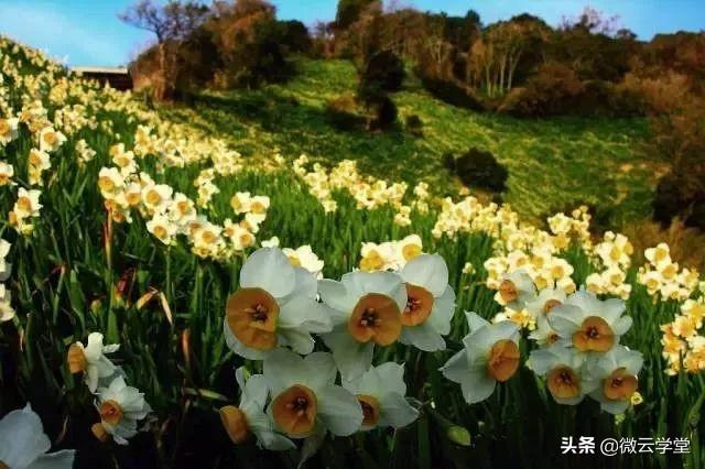 愚人節(jié)是干嘛的節(jié)日（愚人節(jié)的由來與習(xí)俗）(5)