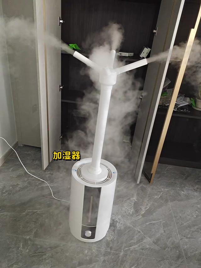 怎樣去甲醛快效果好（剛裝修的房子用什么除甲醛好）(7)