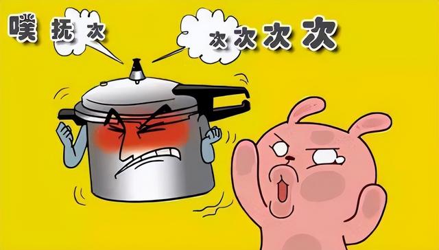 電壓力鍋和高壓鍋的區(qū)別是什么（電壓力鍋和高壓鍋哪個更好）(6)