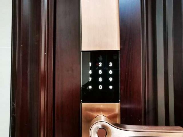 德施曼指紋鎖怎么樣（德施曼小嘀指紋鎖T91評測）(30)