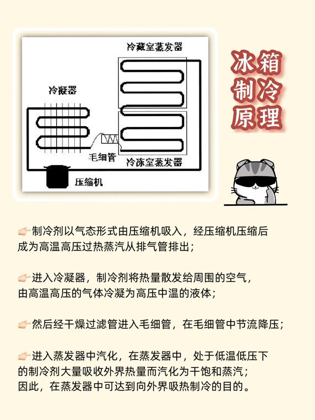 冰箱雙循環(huán)和單循環(huán)哪個(gè)好（冰箱怎么選不踩坑）(1)