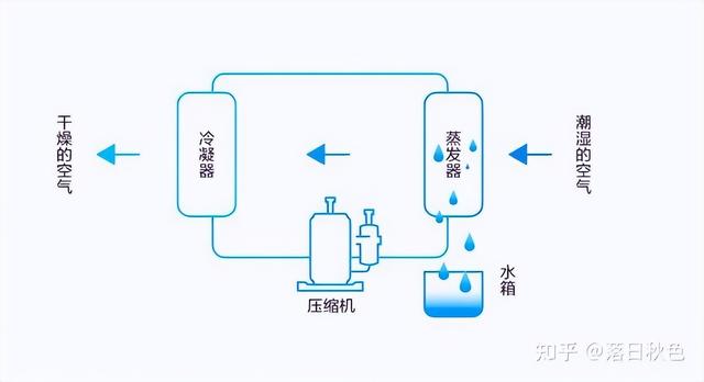 除濕機(jī)哪個(gè)好（除濕機(jī)如何選擇）(2)