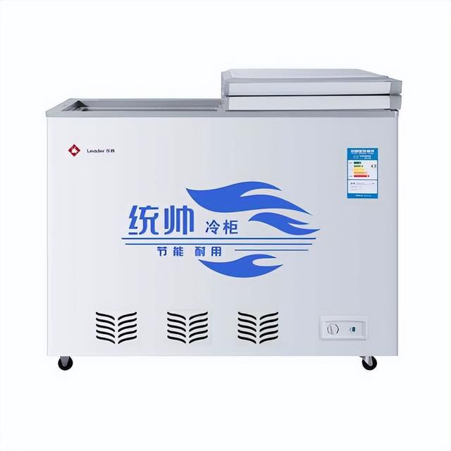 冰柜什么牌子好（十款冰柜品牌值得推薦）(8)