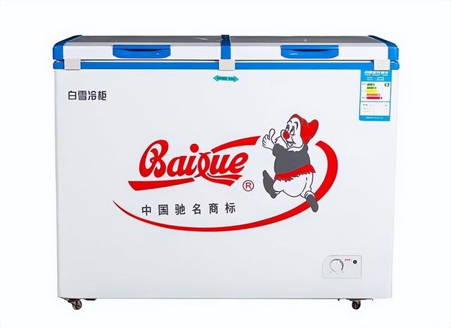 冰柜什么牌子好（十款冰柜品牌值得推薦）(11)