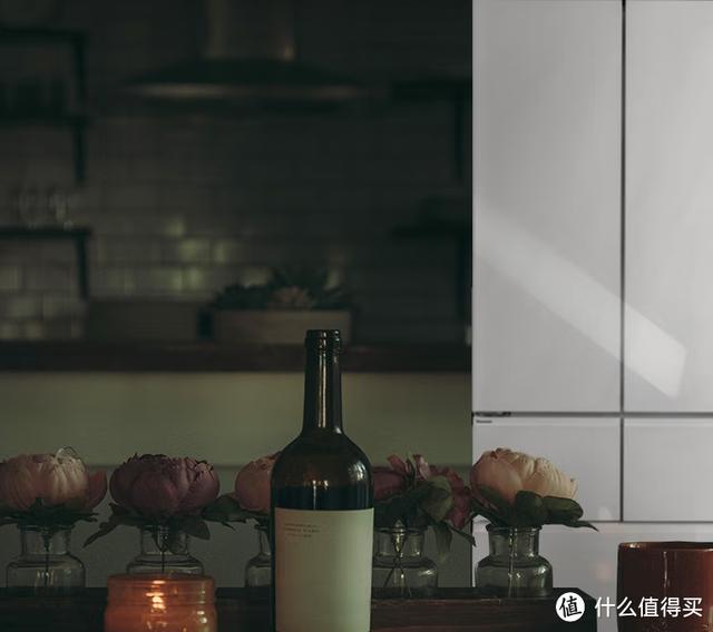冰箱什么牌子的冰箱最好（冰箱保姆級攻略與機型推薦）(3)