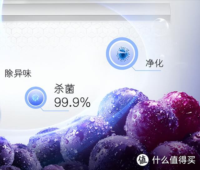 冰箱什么牌子的冰箱最好（冰箱保姆級攻略與機型推薦）(12)