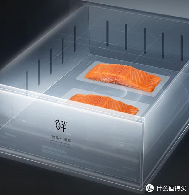 冰箱什么牌子的冰箱最好（冰箱保姆級攻略與機型推薦）(34)