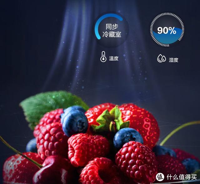 冰箱什么牌子的冰箱最好（冰箱保姆級攻略與機型推薦）(53)