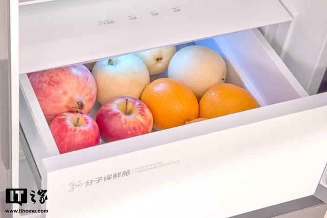 tcl冰箱質(zhì)量怎么樣（tcl格物冰箱q10 深度評測）(20)