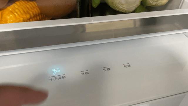 tcl冰箱質(zhì)量怎么樣（tcl格物冰箱q10 深度評測）(21)